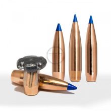 Norma BondStrike .308 180gr